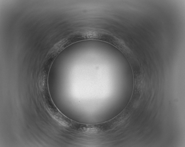 X0000080670645200612221118