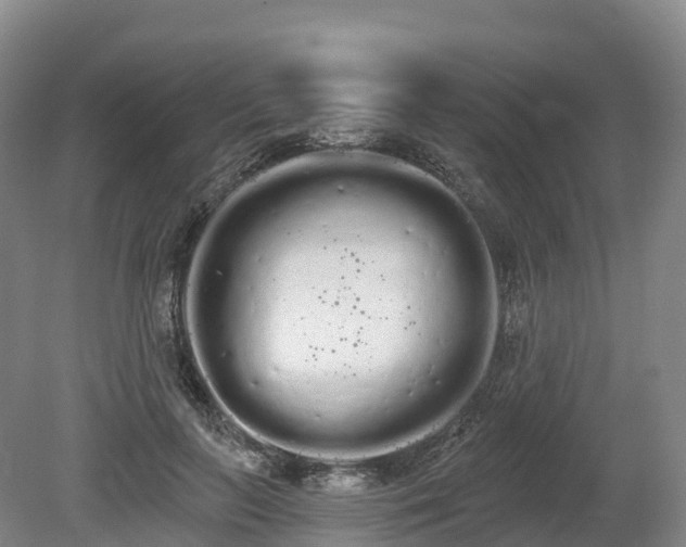 X0000080670647200612221118