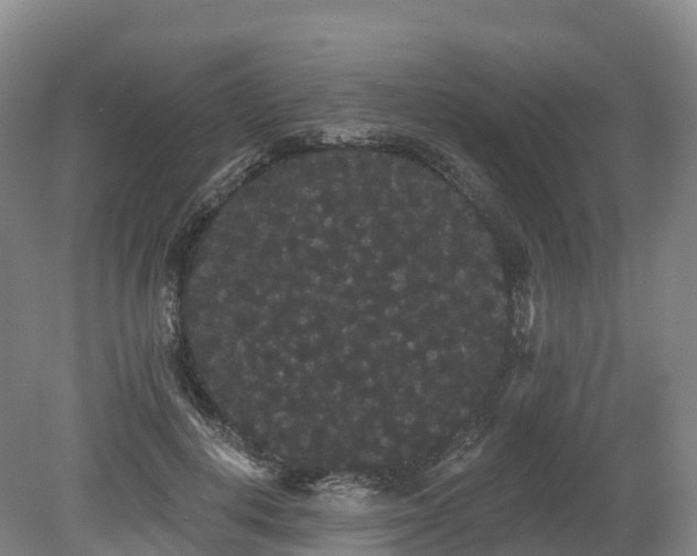 X0000080670648200612221118