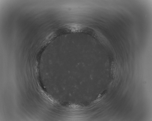 X0000080670650200612221118