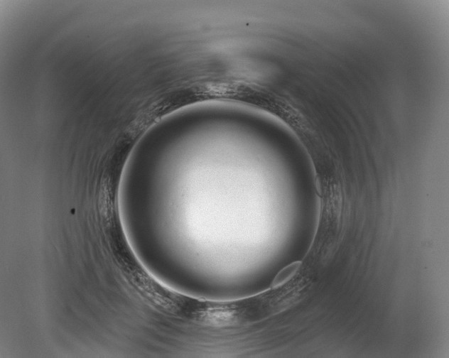 X0000080670651200612221118