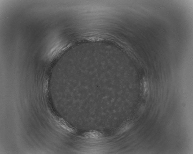 X0000080670652200612221118