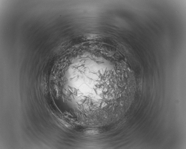 X0000080670653200612221118