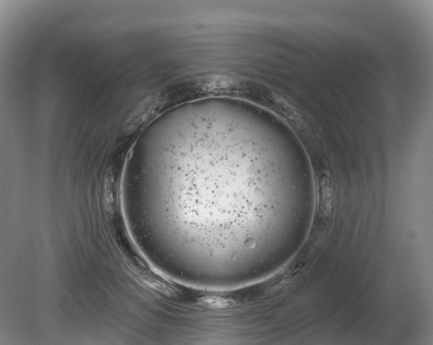 X0000080670654200612221118