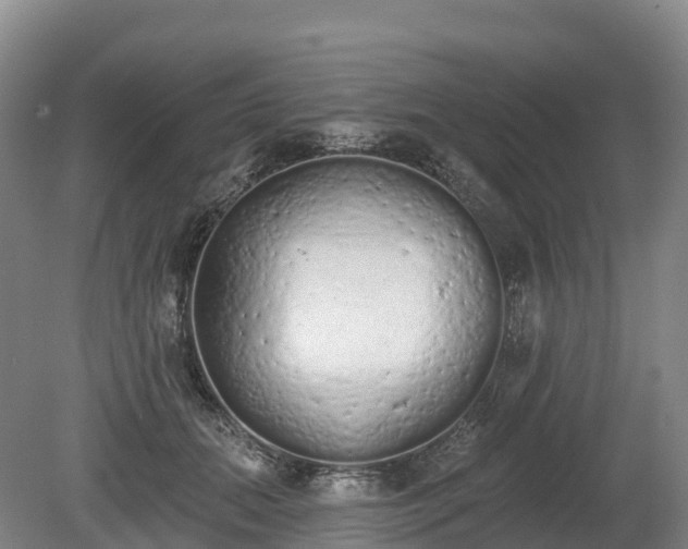 X0000080670655200612221118