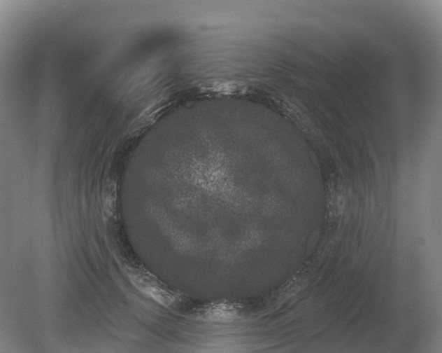 X0000080670656200612221118