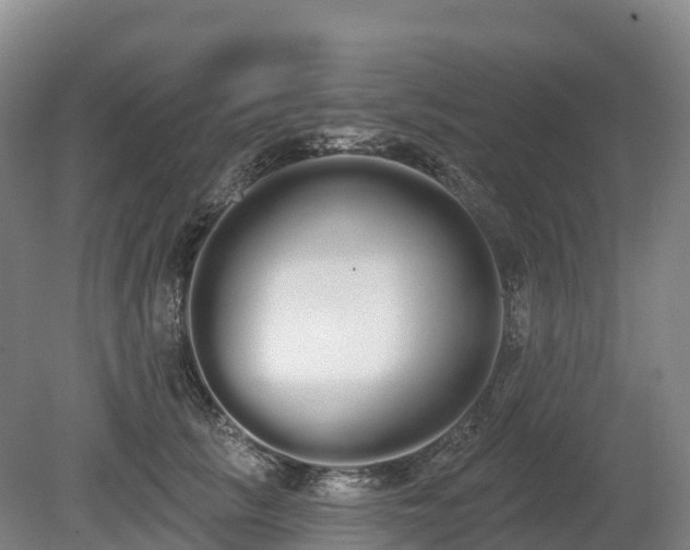 X0000080670657200612221118