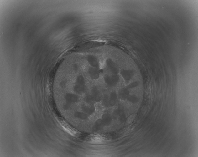 X0000080670658200612221118