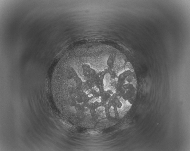 X0000080670659200612221118