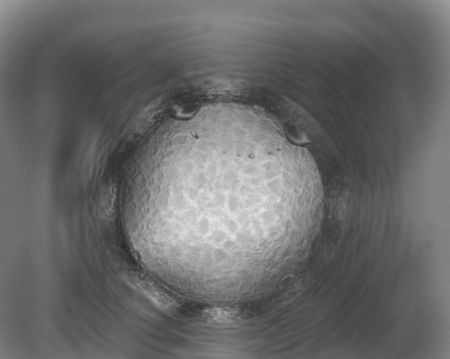 X0000080670660200612221118