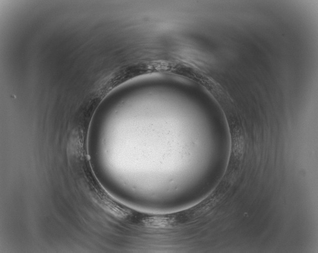 X0000080670661200612221118