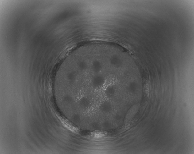 X0000080670662200612221118