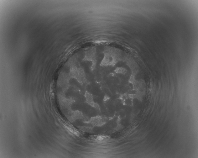 X0000080670663200612221118