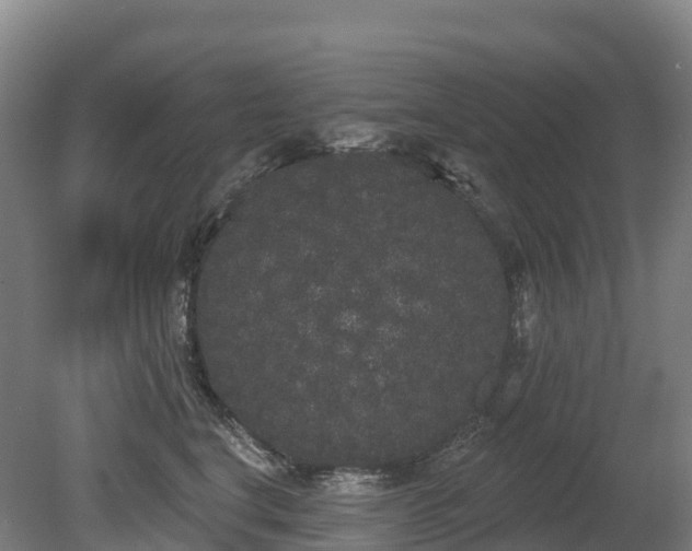 X0000080670664200612221118