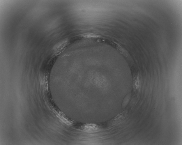 X0000080670666200612221118