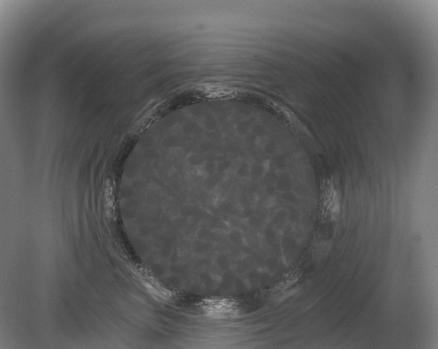 X0000080670667200612221118