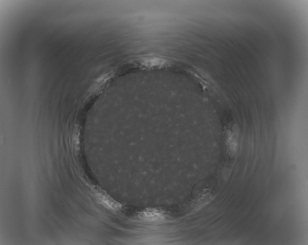 X0000080670668200612221118