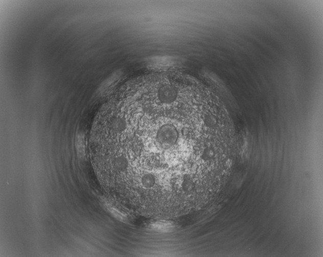 X0000080670669200612221118