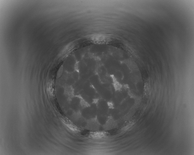 X0000080670671200612221118