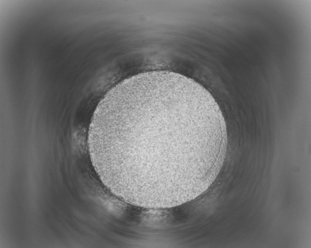 X0000080670672200612221118