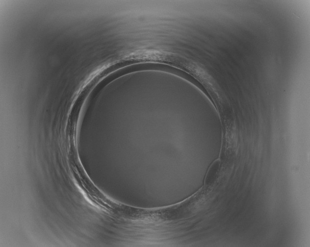 X0000080670674200612221117