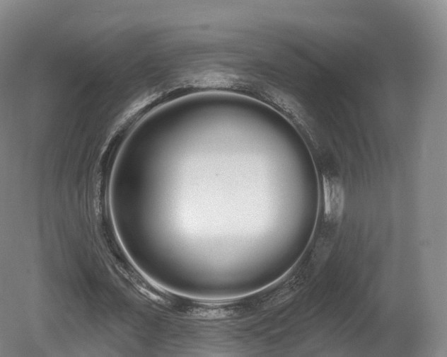 X0000080670675200612221117