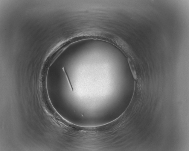 X0000080670676200612221117