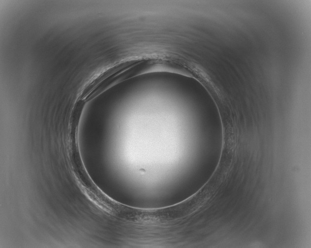 X0000080670677200612221117