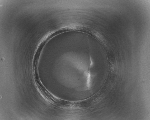 X0000080670678200612221117