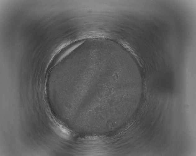 X0000080670679200612221117