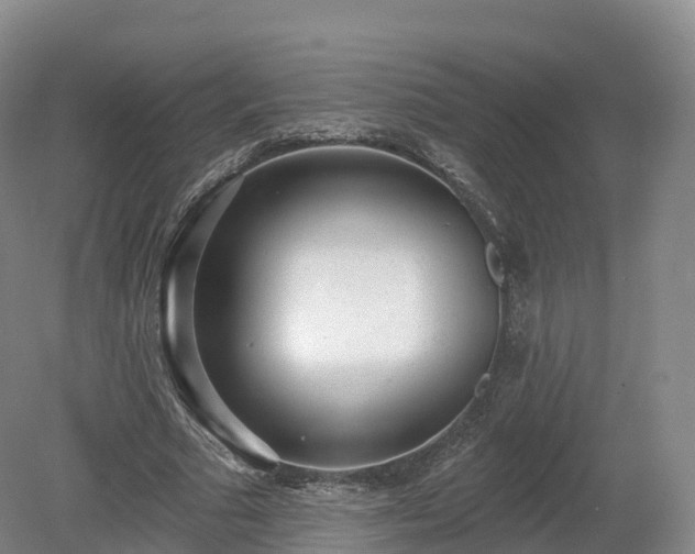 X0000080670681200612221117