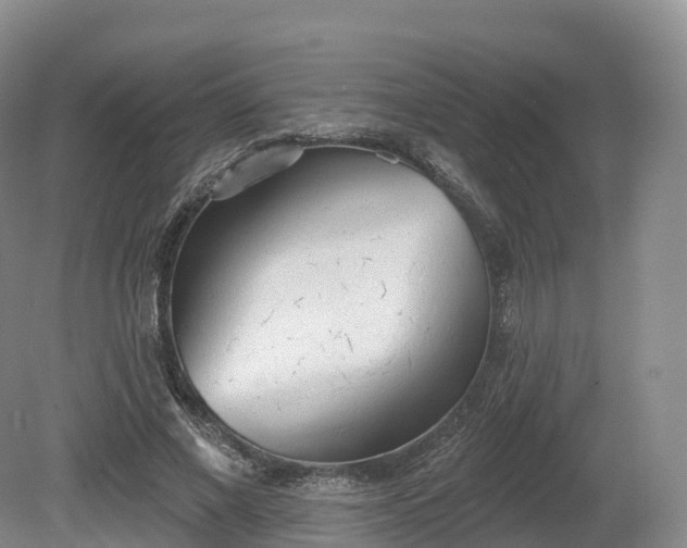 X0000080670685200612221117