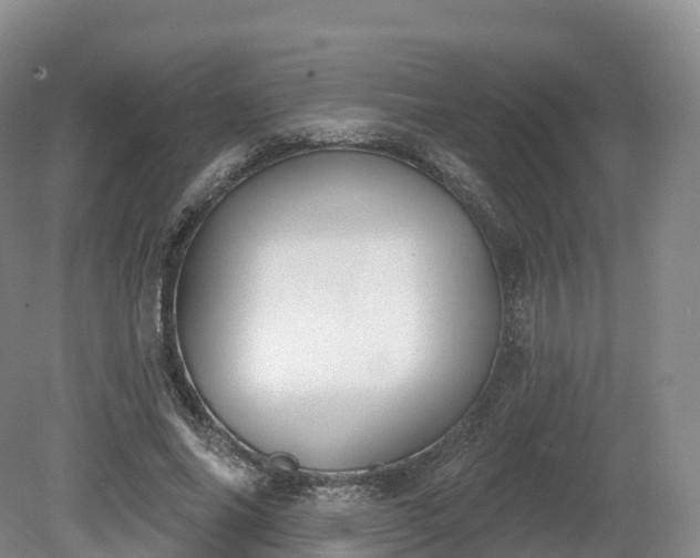 X0000080670686200612221117