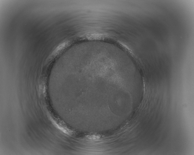 X0000080670687200612221117