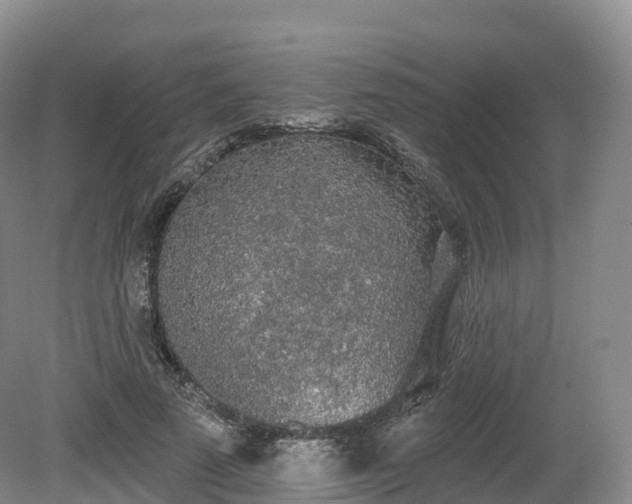 X0000080670689200612221117