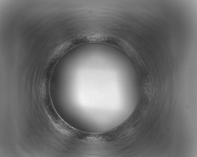 X0000080670690200612221117