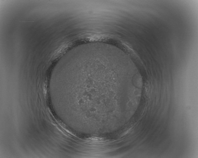 X0000080670691200612221117