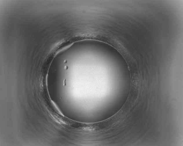 X0000080670692200612221117