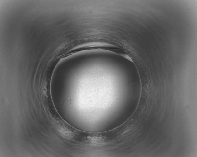 X0000080670693200612221117