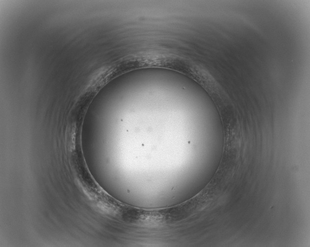 X0000080670694200612221117