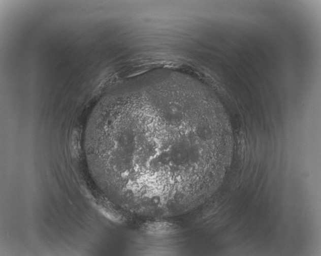 X0000080670695200612221117