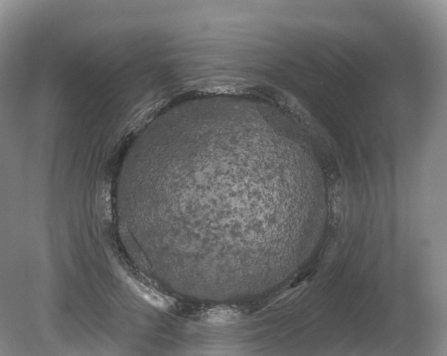 X0000080670696200612221117