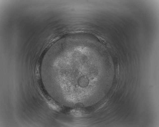 X0000080670699200612221117