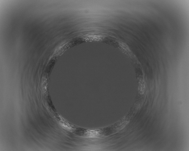 X0000080670701200612221117