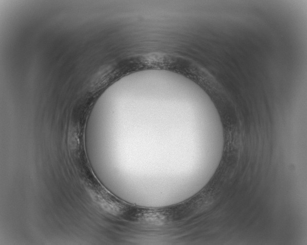 X0000080670702200612221117