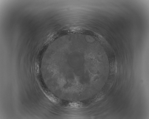 X0000080670703200612221117