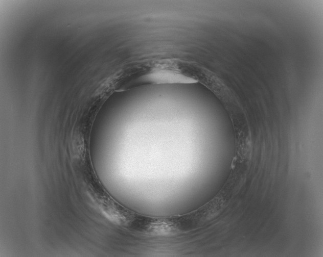 X0000080670704200612221117