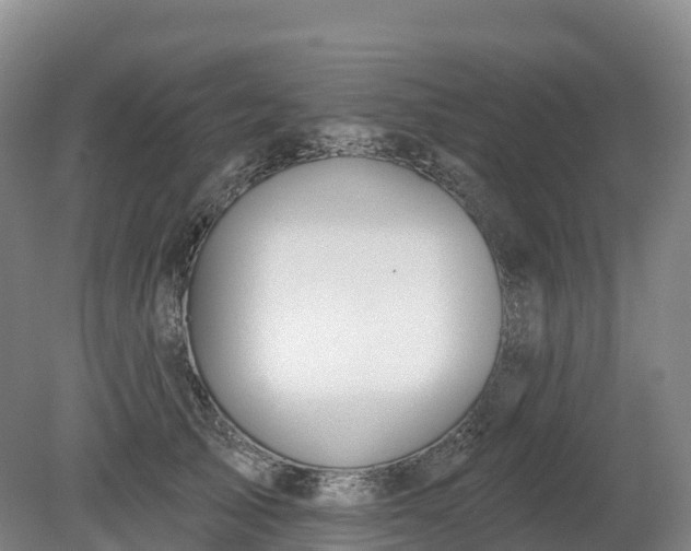 X0000080670705200612221117