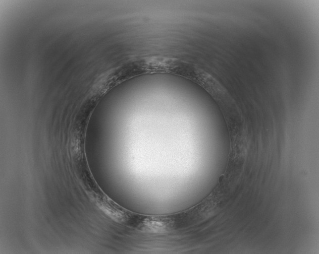 X0000080670706200612221117