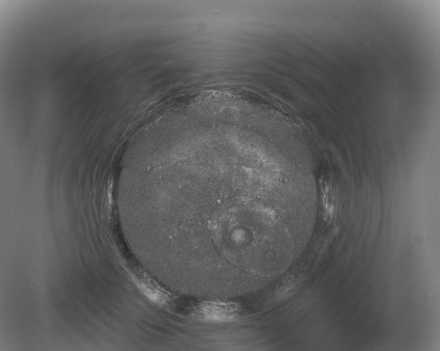 X0000080670707200612221117